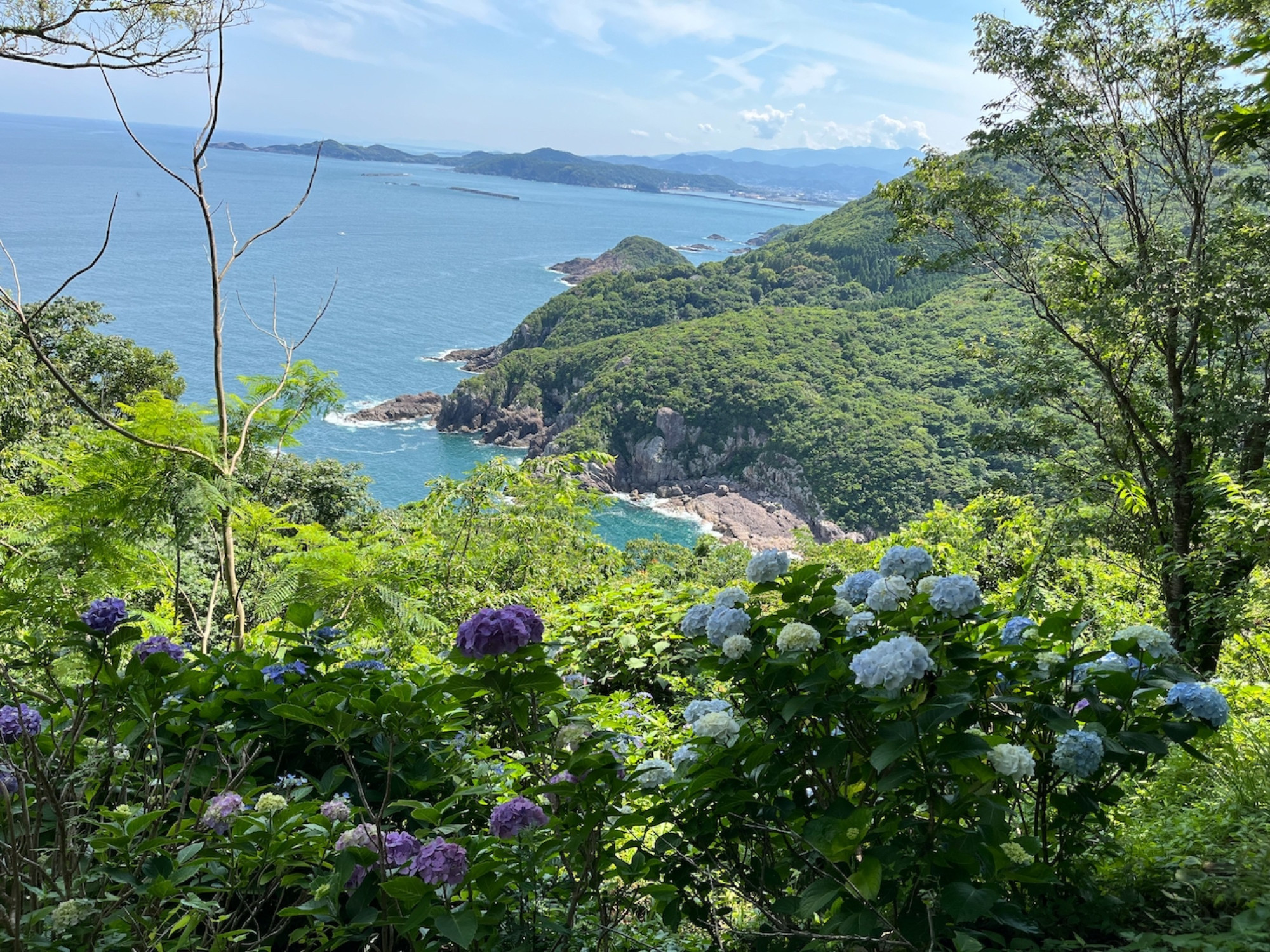 Georgeous view of the bay and ocean from the hilltop garden.