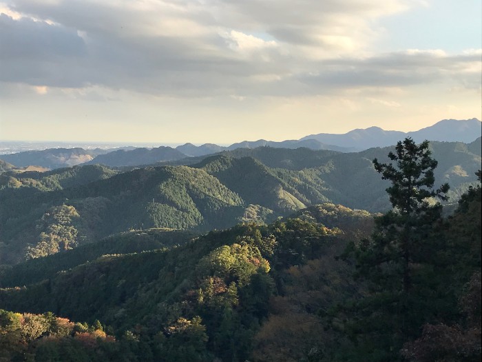 Observation Point View