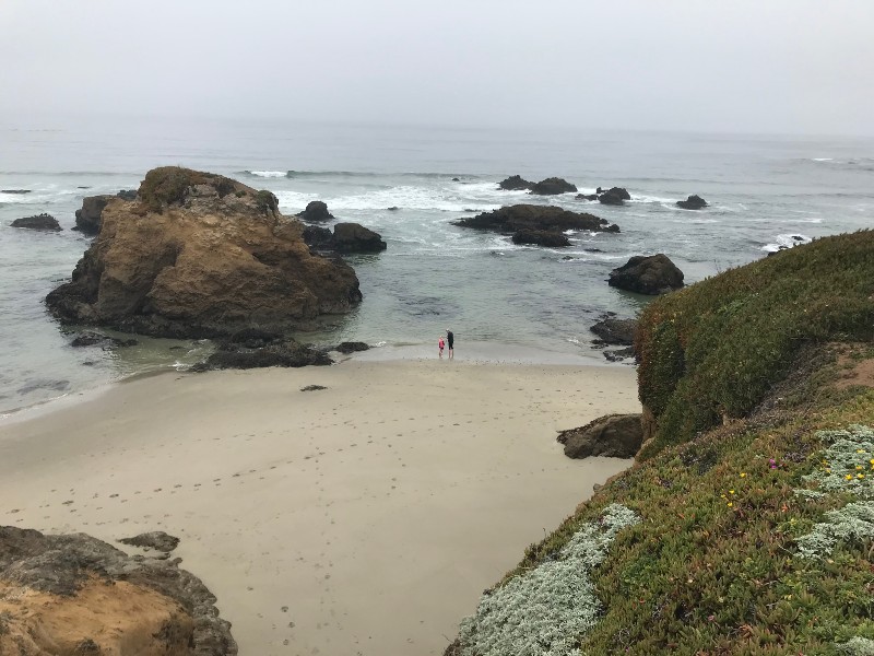 The coastline on the drive up to Eureka
