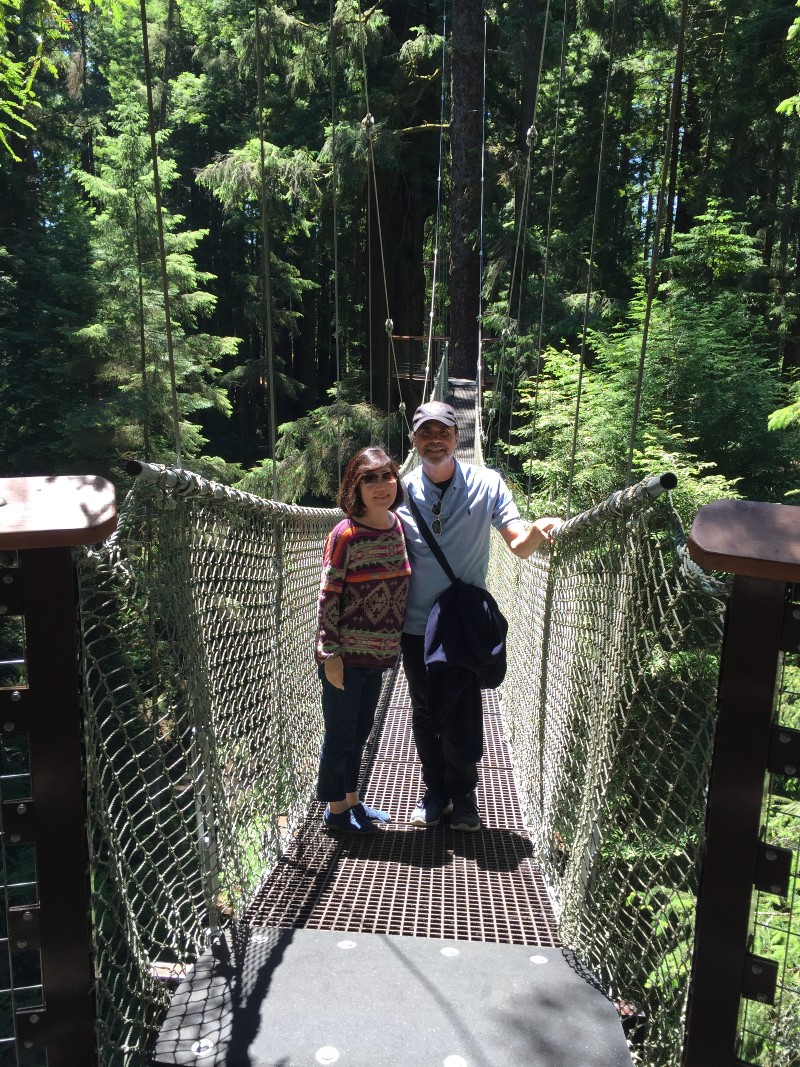 Walkway in the trees!