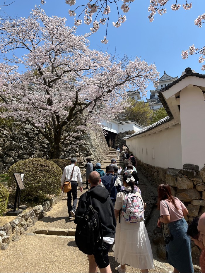 Walking up road to the castle entrance