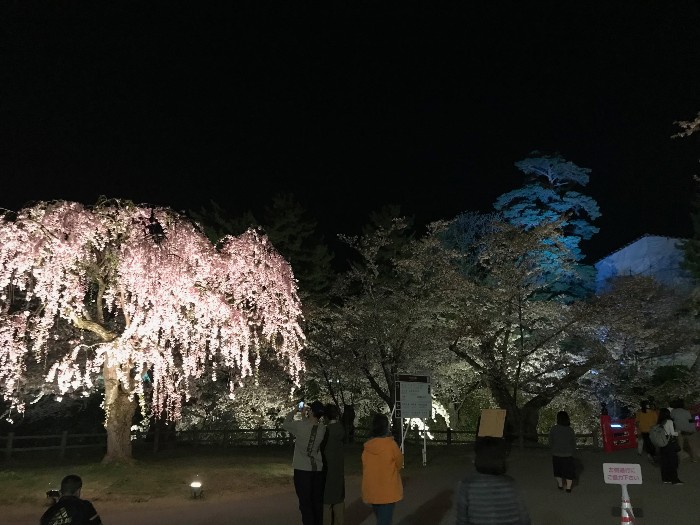 Hirosaki Park at night