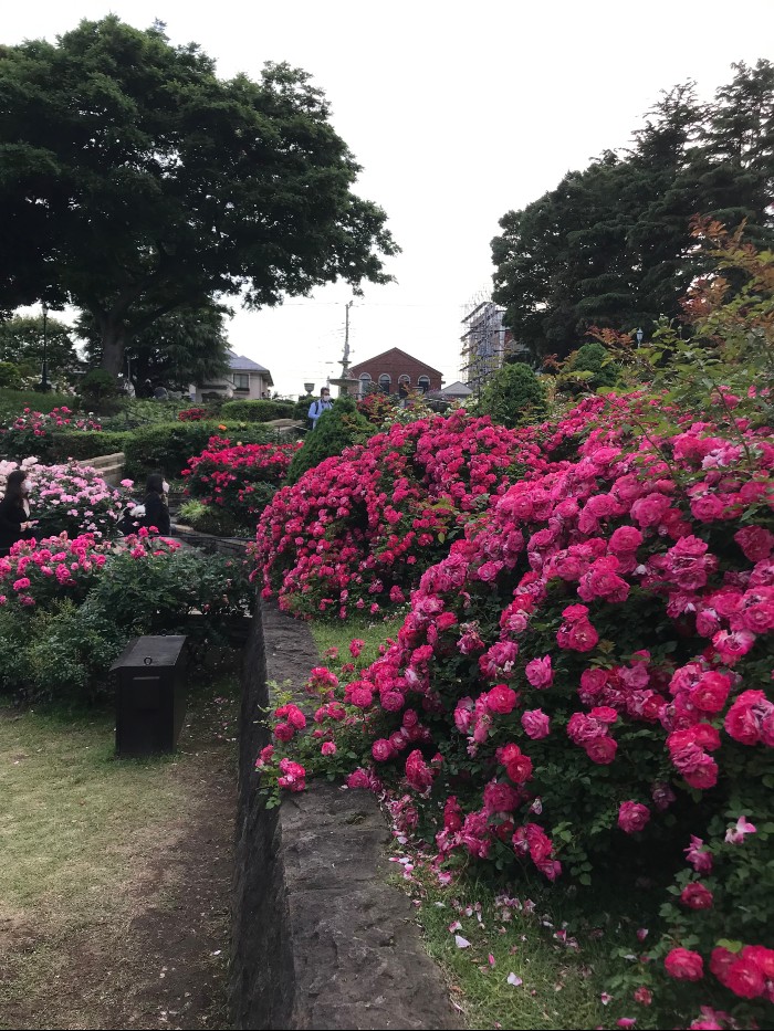 Harbor View Park