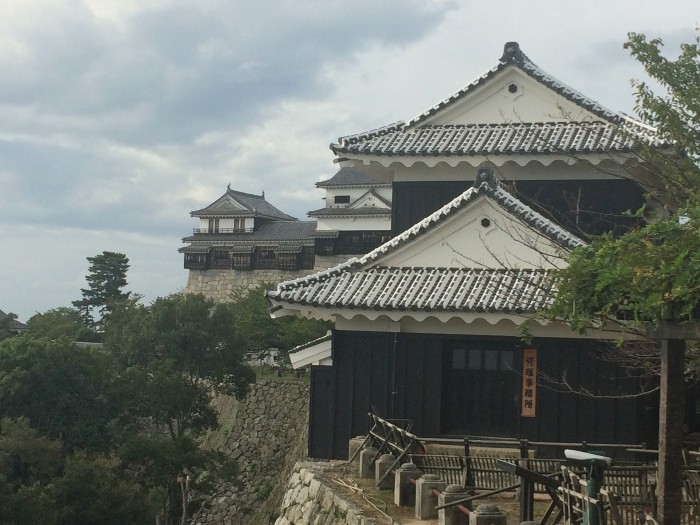 Matsuyama Castle on the Hilltop
