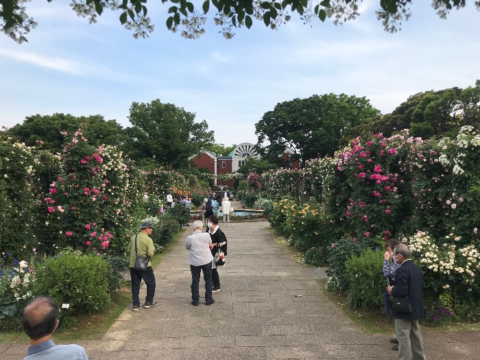 Harbor View Park gardens
