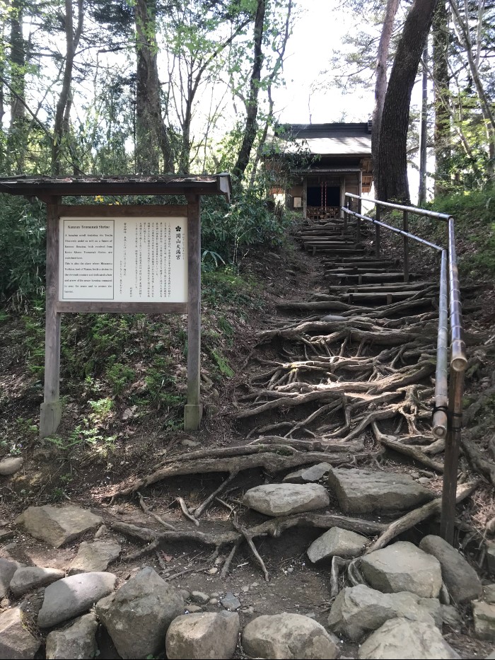 Gnarly steps leading to a small temple
