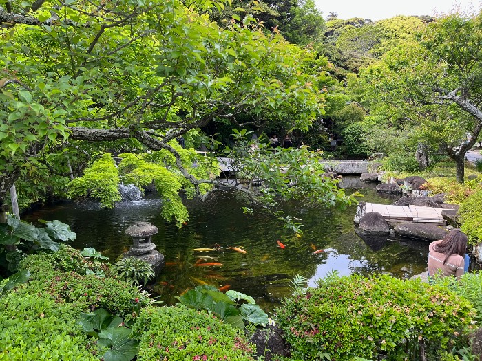 Hasedera entrance leads to pond and surrounding garden.