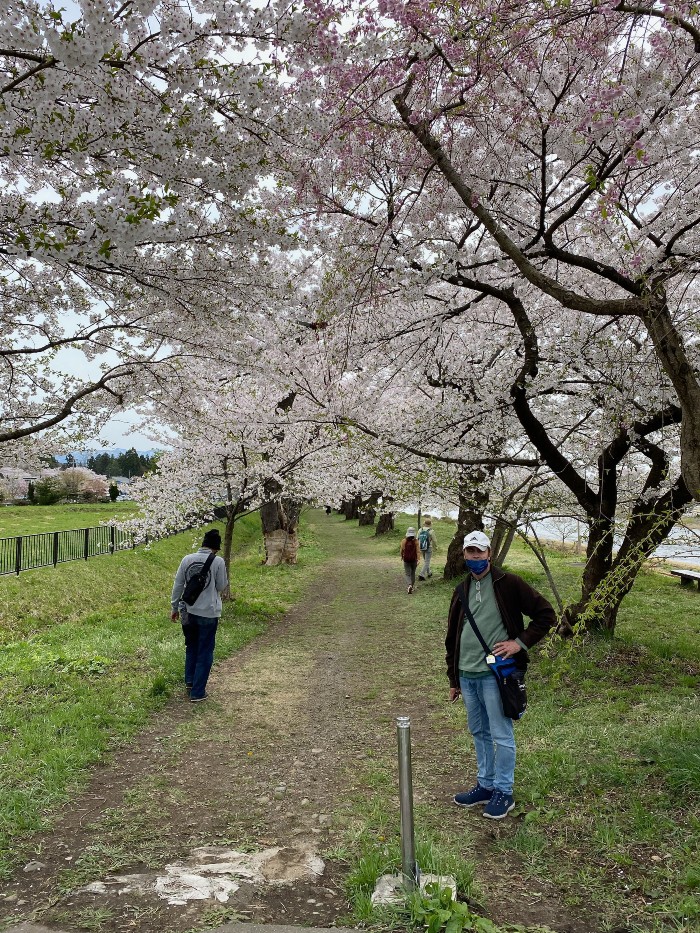 Ah, is this the best time to be in Japan? I think so!