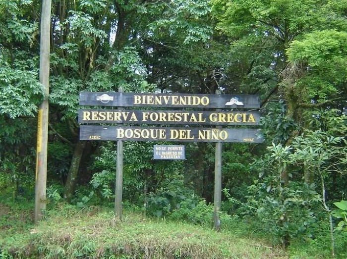 The Children's forest. I have hiked there from home many times.