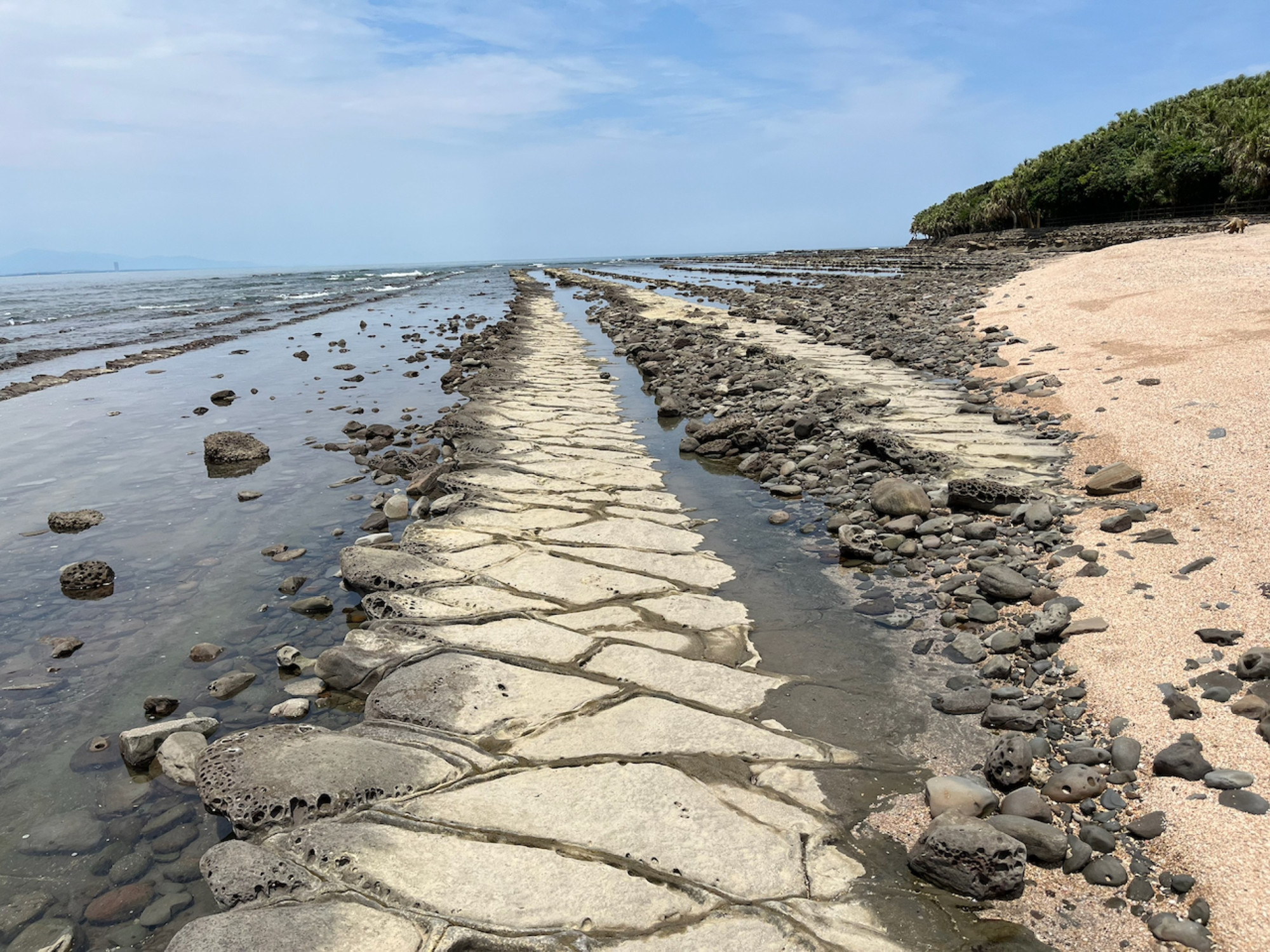 Devil’s Washboard is a wave-cut bench of tilted sedimentary strata, shaped by differential erosion. 