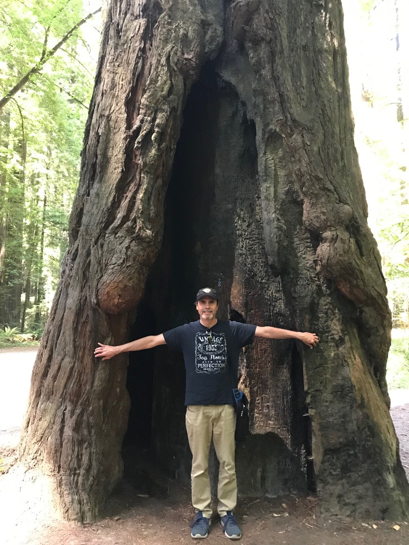 Me and the tree