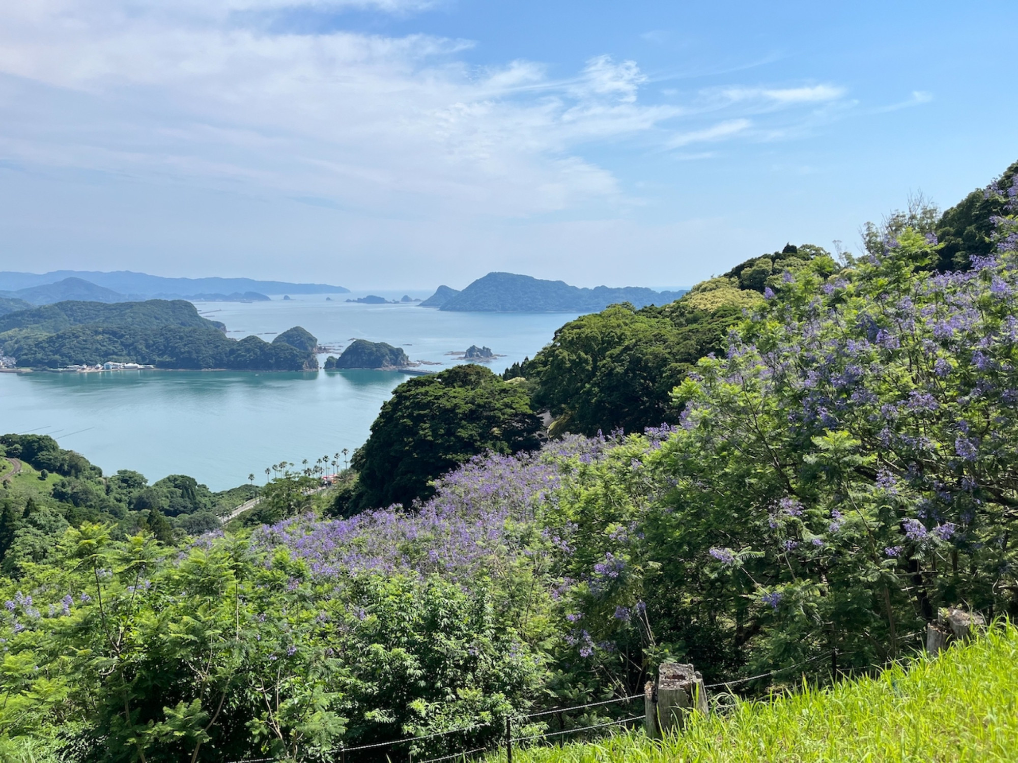 Miyazaki's Tropical Magic Resembles Hawaii