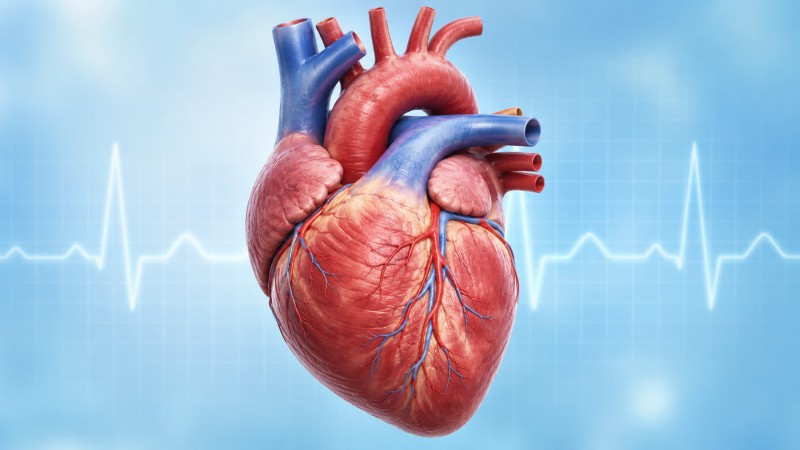 The Heart of the Matter