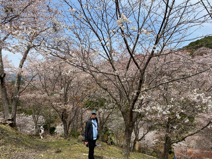 Naka-sembon hillside
