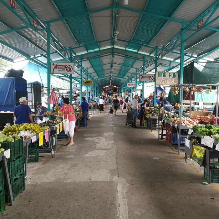 The Feria Agricultora (farmers market) every Friday and Saturday. 