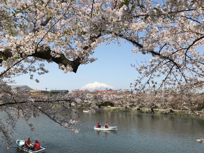 Nice pic if I say so myself