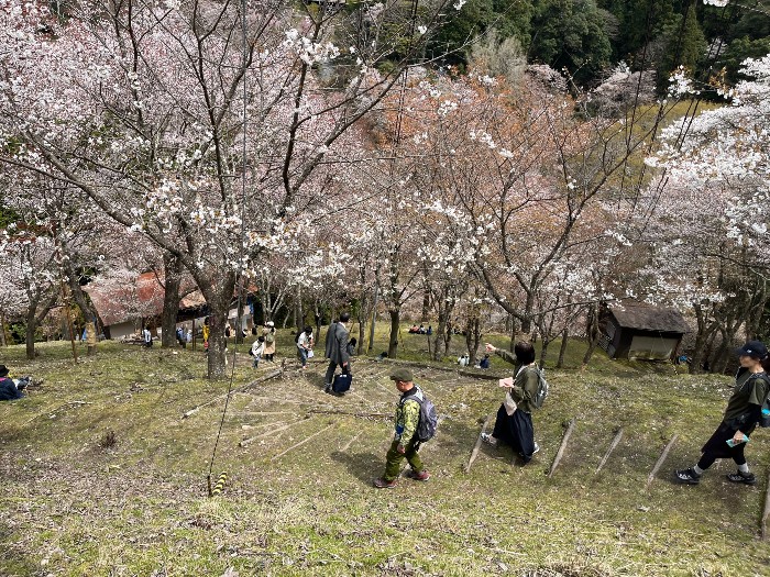 Hanging out on a Naka-senbon hillside path