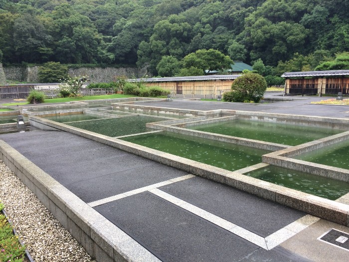 Water pool building foundation layout - I never saw this concept implemented before!