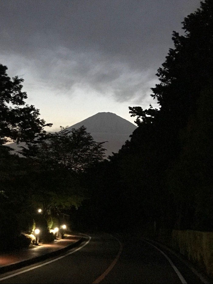 Our one glimpse of Mt Fuji - so if you are coming, pick a nice day!