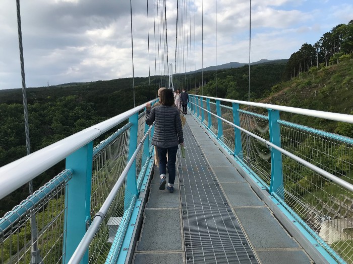 The Skywalk - can be scary if you look down!