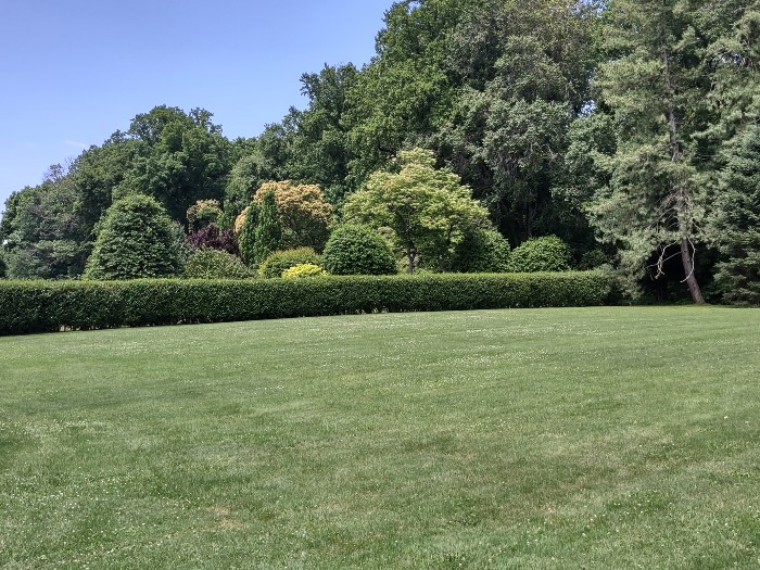 A sampling of the 250 species of trees on the grounds