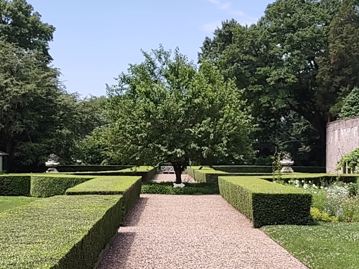 Sculpted garden hedges