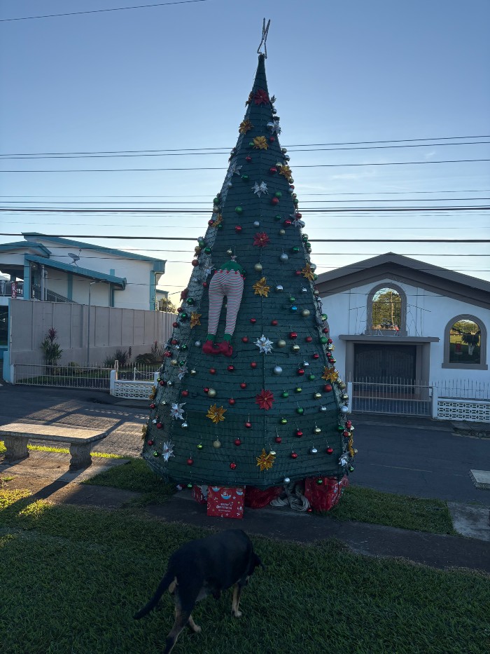 Merry Christmas from Costa Rica - despite Santa's unfortunate predicament