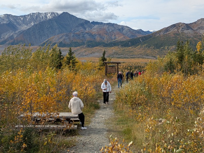 Beautiful colors in the valley at The Bison Point Overlook