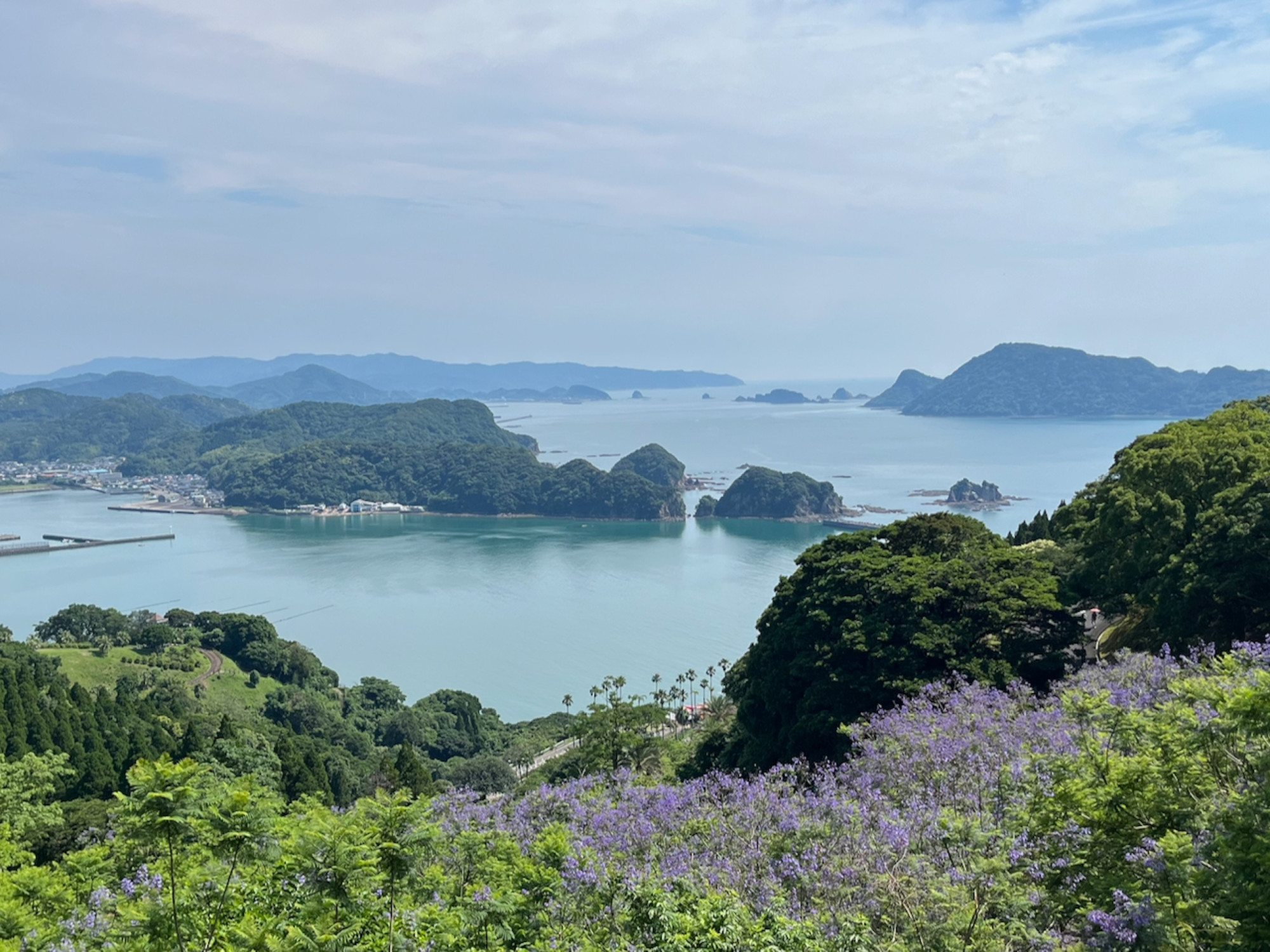 Jacaranda views of the bay below