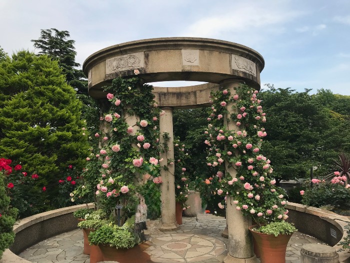 Harbor View Park trellis