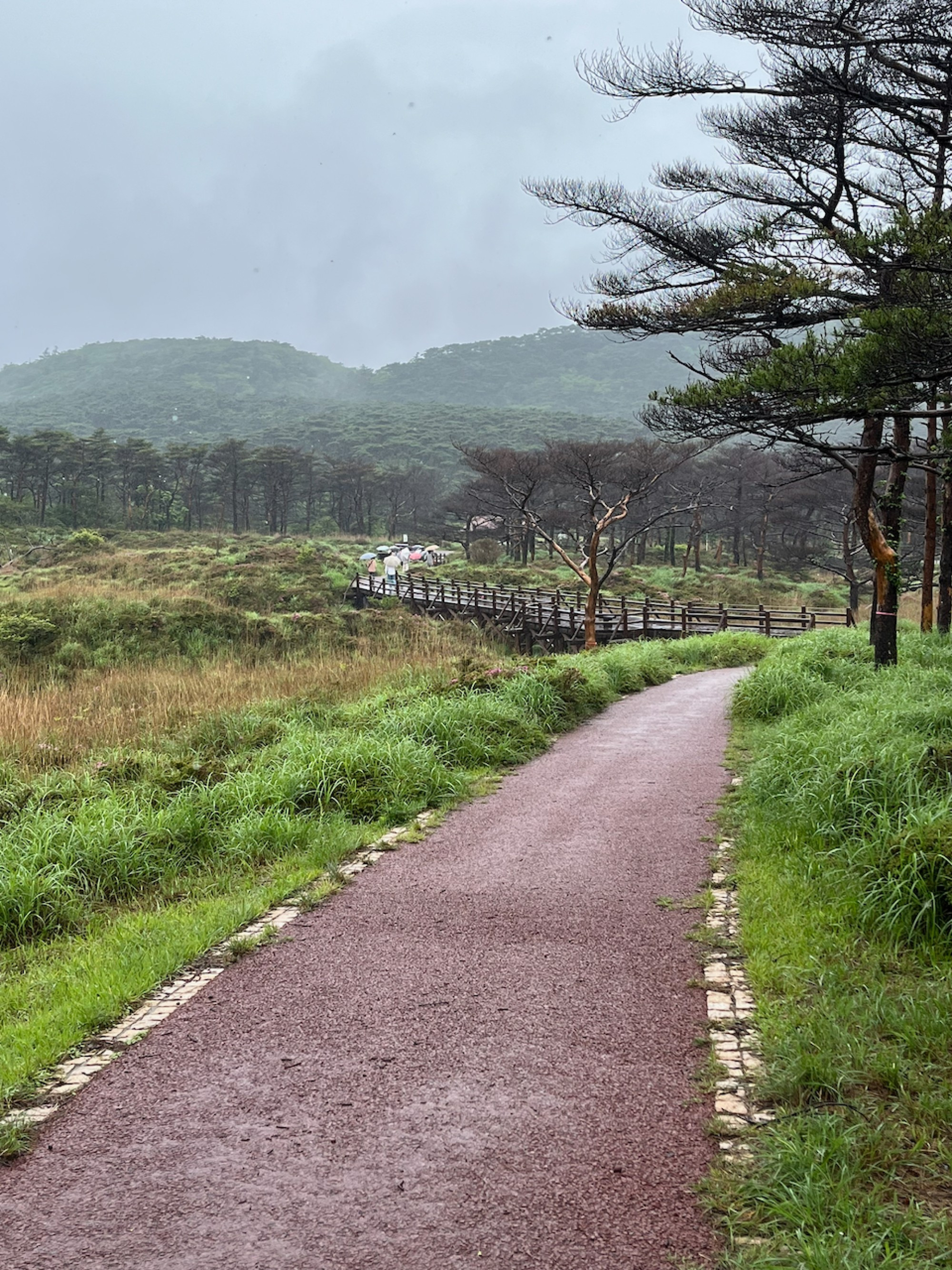 The path on Obino Plateau